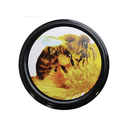 CAPSULE TO 63 BUTINEUSE LE SACHET DE 10