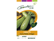 COURGETTE VERTE PETITE D'ALGER [CP 1]