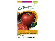 TOMATE MERV.DES MARCHES [CP 1]