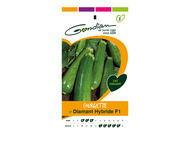 COURGETTE DIAMANT HF1 (GON 3)