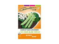 HARICOT NAIN A ECOSSER COCO NAIN BLANC PRECOCE [CP X OU CP 1]